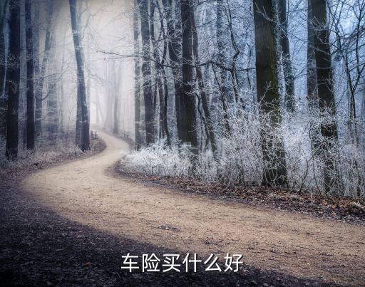 車險(xiǎn)買什么好