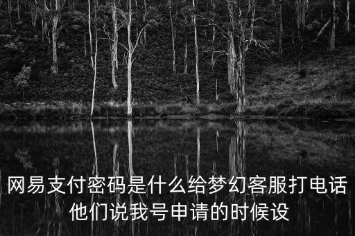 什么是網(wǎng)易支付密碼，網(wǎng)易支付密碼是什么給夢(mèng)幻客服打電話 他們說(shuō)我號(hào)申請(qǐng)的時(shí)候設(shè)