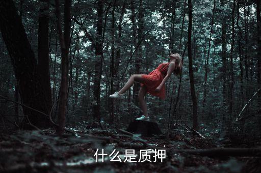擔(dān)保的質(zhì)押是什么意思，什么是質(zhì)押