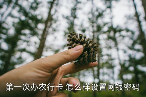 第一次辦農(nóng)行卡 怎么樣設(shè)置網(wǎng)銀密碼