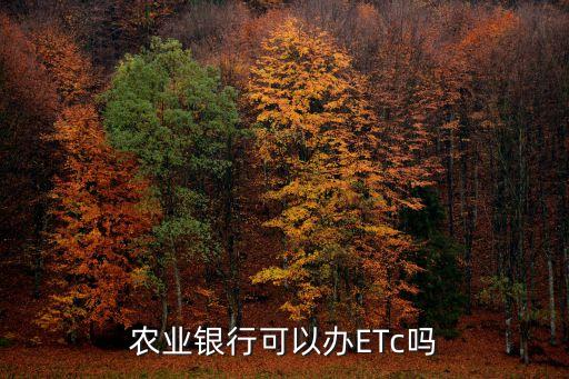 農(nóng)業(yè)銀行可以辦ETc嗎