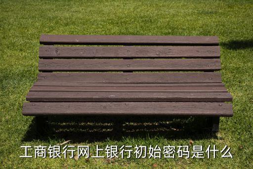 工商銀行初始登錄密碼是什么原因，工商網(wǎng)銀登錄密碼是什么