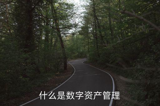什么是數(shù)字資產(chǎn)管理