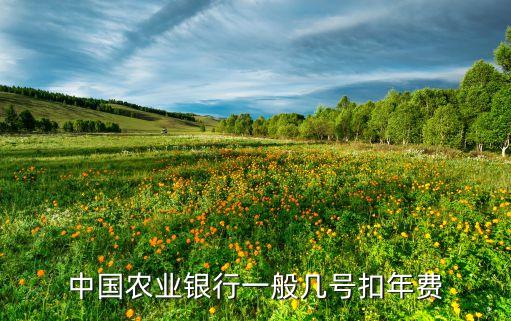 農(nóng)業(yè)銀行卡年費(fèi)什么時(shí)候扣，農(nóng)業(yè)銀行的卡什么時(shí)候扣年費(fèi)