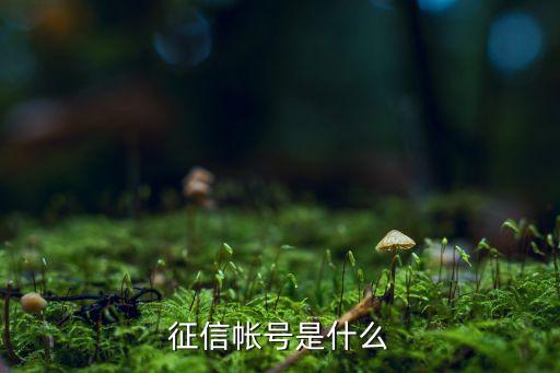 征信報告帳號是什么意思，征信帳號是什么