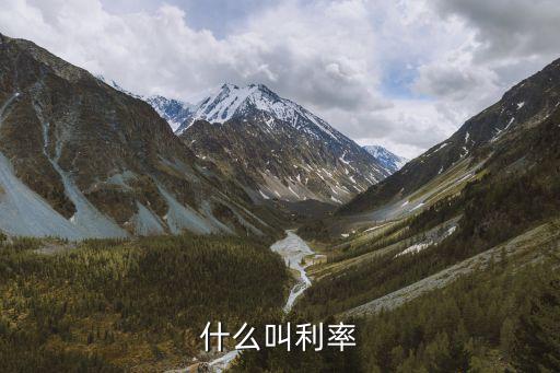 什么叫利率