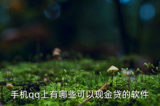 手機(jī)qq上有哪些可以現(xiàn)金貸的軟件