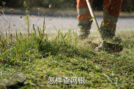 怎樣查網(wǎng)銀