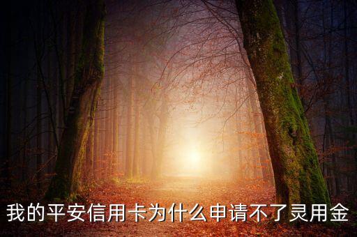 我的平安信用卡為什么申請(qǐng)不了靈用金