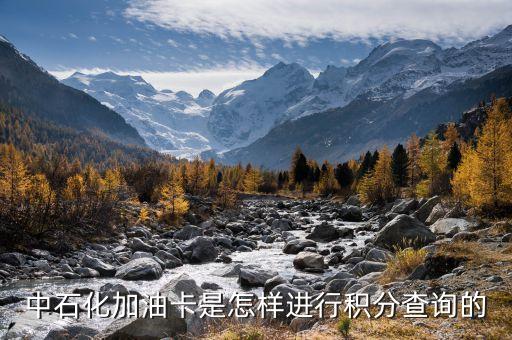 中石化加油卡是怎樣進行積分查詢的