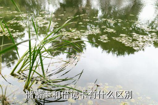 儲蓄卡和借記卡有什么區(qū)別