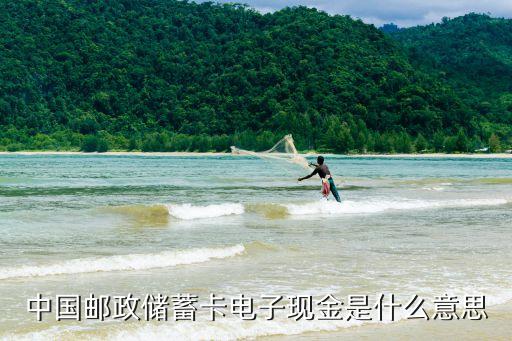 中國(guó)郵政儲(chǔ)蓄卡電子現(xiàn)金是什么意思