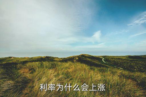 利率為什么上浮，銀行利率上調(diào)的原因是什么