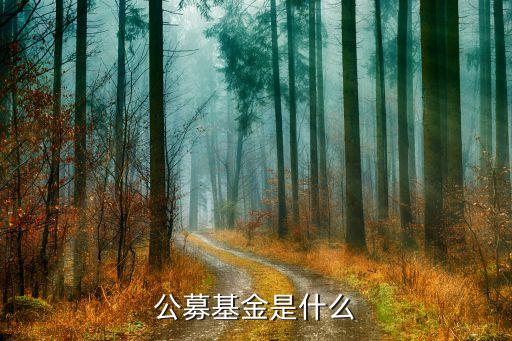 公募基金是什么