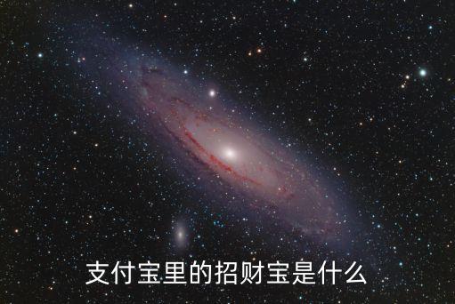 招財寶什么時候開發(fā)的，支付寶里的 招財寶 是什么