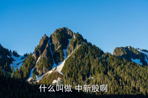 什么叫做 中新股啊