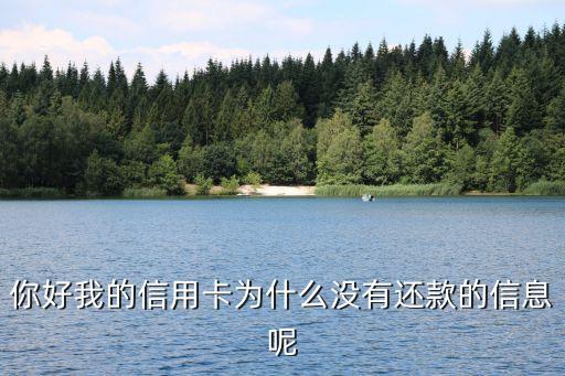 信用卡沒(méi)提示什么還款，你好我的信用卡為什么沒(méi)有還款的信息呢