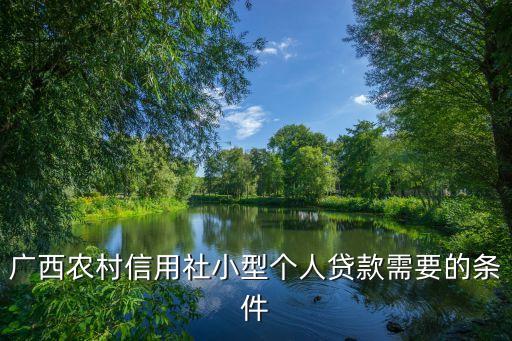 廣西農(nóng)村信用社小型個(gè)人貸款需要的條件