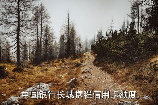 攜程用什么信用卡額度，中國銀行長城攜程信用卡額度