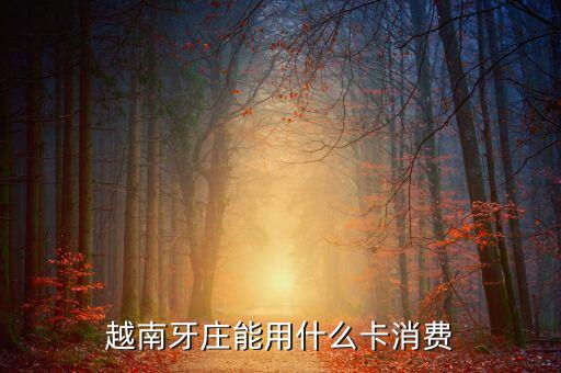 越南購物用什么卡，越南芽莊可以用中國銀聯(lián)卡消費嗎