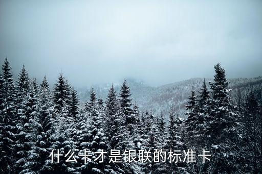 什么卡才是銀聯(lián)的標(biāo)準(zhǔn)卡