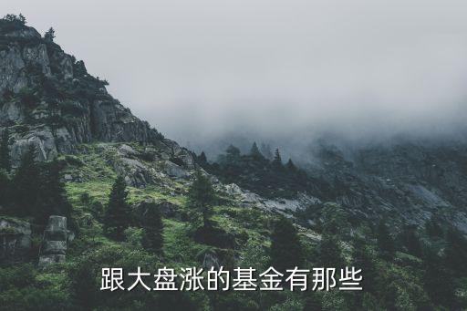 什么基金跟蹤大盤，指數(shù)基金哪種能最真實(shí)反映大盤走勢繳納的手續(xù)費(fèi)最低