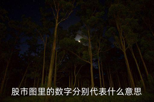 股市圖里的數(shù)字分別代表什么意思