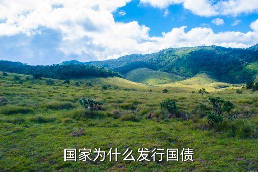 國家為什么發(fā)行國債