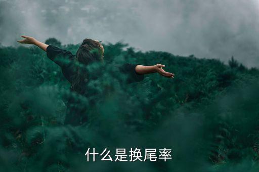 基金換手率是什么，什么是基金換手率