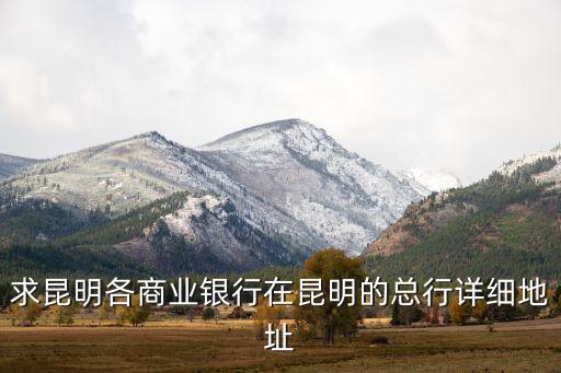求昆明各商業(yè)銀行在昆明的總行詳細(xì)地址