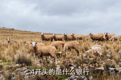 4開頭的是什么銀行