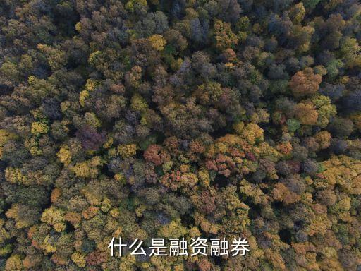 什么是融資融券