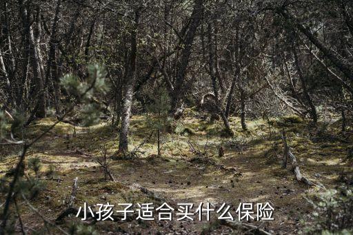 小孩子該買什么保險，兒童買什么保險比較好