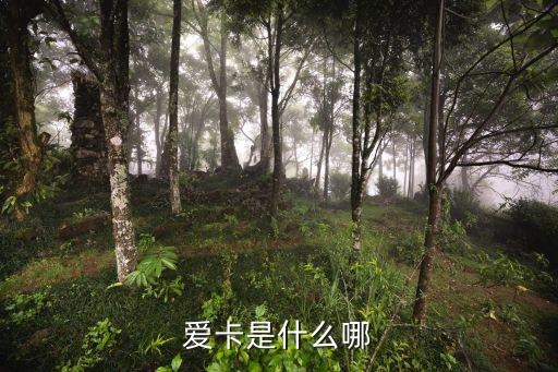 愛卡是什么哪