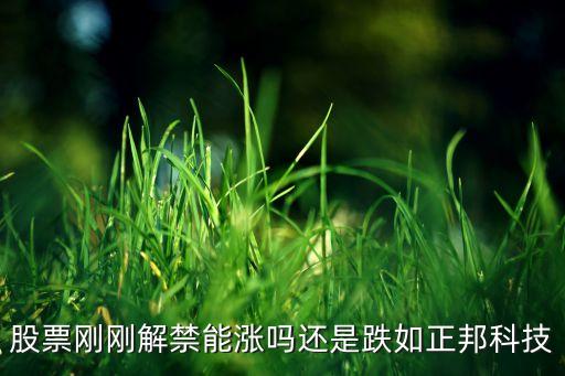 增發(fā)解禁股什么時(shí)候漲，解禁股上市前股票會(huì)漲嗎