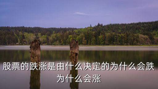 什么決定股票的漲跌，股票漲跌是由什么決定的