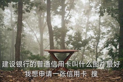 建設(shè)銀行的普通信用卡叫什么圖片最好我想申請一張信用卡  搜