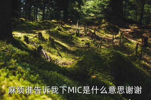 麻煩誰告訴我下MIC是什么意思謝謝