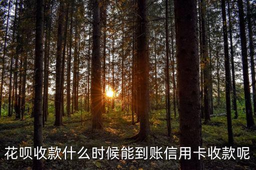 花唄可以用什么時候到賬戶，花唄收款什么時候能到賬信用卡收款呢