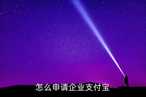 怎么申請企業(yè)支付寶