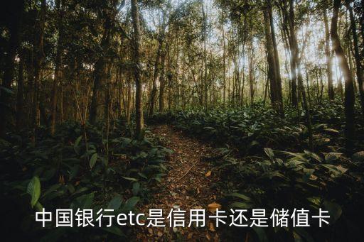 中國(guó)銀行etc是信用卡還是儲(chǔ)值卡