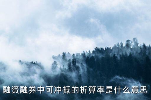 擔(dān)保折算率是什么，擔(dān)保品折算率