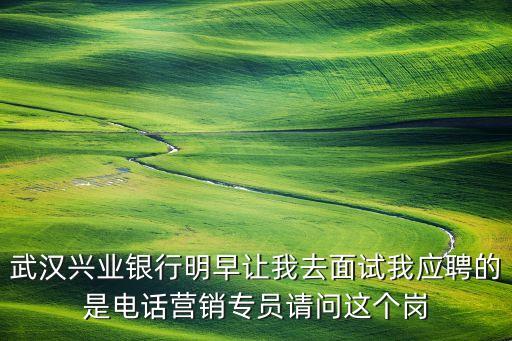 銀行電話銷售做什么的，銀行電話客服銷售是要做些什么的呢這工作好嗎