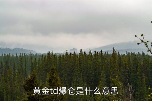 黃金td爆倉是什么意思