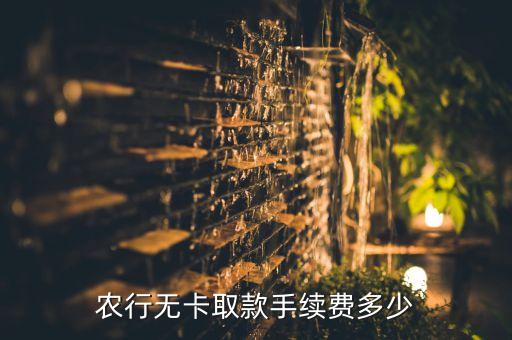 農(nóng)行無(wú)卡取款手續(xù)費(fèi)多少