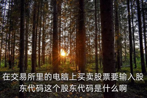股東編號是什么，問題股東代碼是什么意思