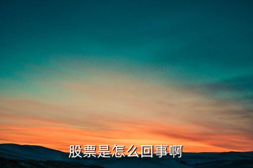 股票是怎么回事啊