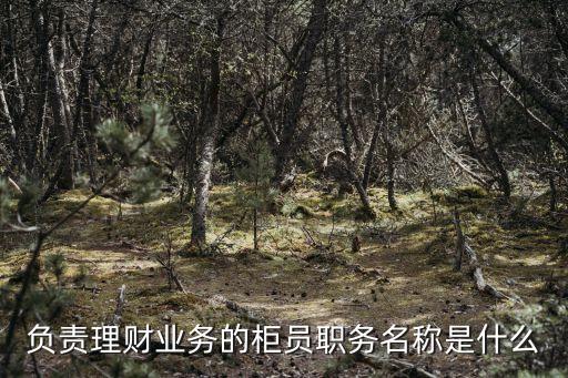 招商銀行理財是什么職務，負責理財業(yè)務的柜員職務名稱是什么