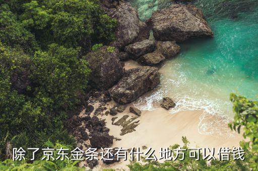 除了京東金條還有什么，除了京東金條還有什么地方可以借錢