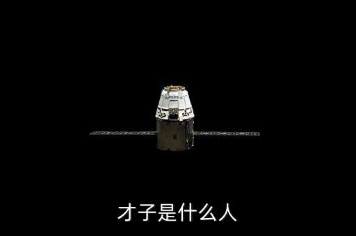 才子是什么人